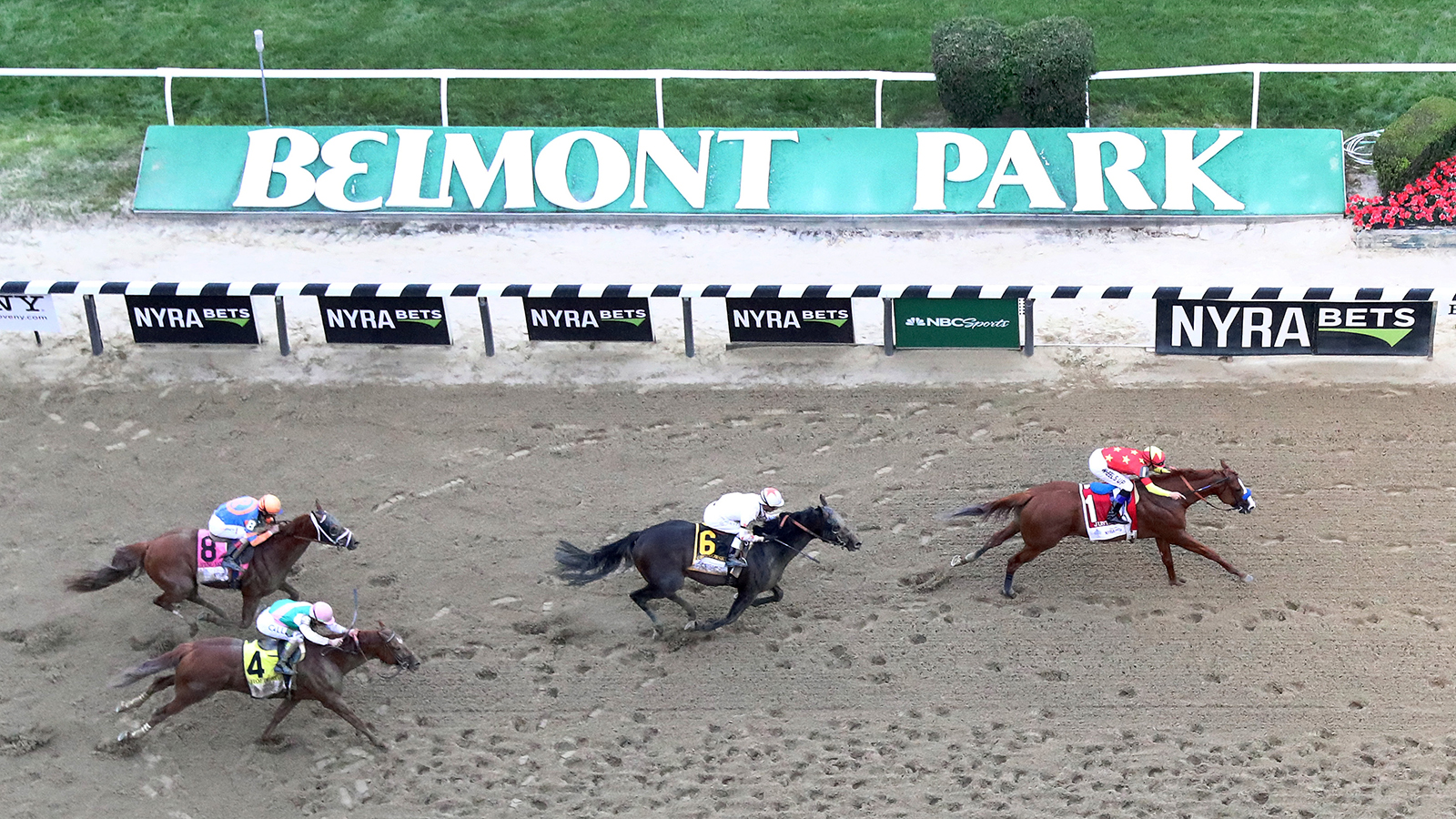 belmont live betting odds